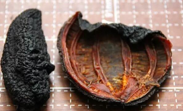 海参有上千种都是一样的吗,全世界海参有多少品种