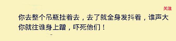 我妈叫我明天陪她去打架，该不该去？网友回复太搞笑