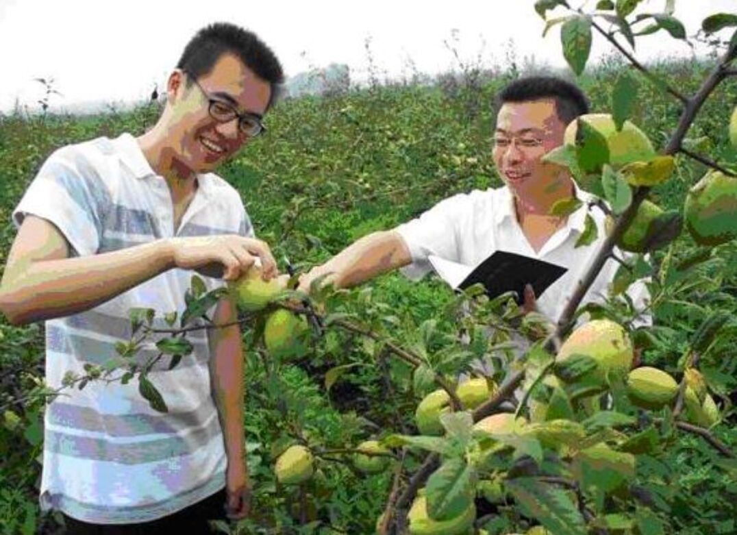 村干部什么人当选,哪十种人不能选村干部