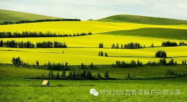 呼伦贝尔自由行攻略,呼伦贝尔自由行