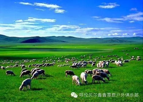 呼伦贝尔旅游自由行攻略,第一次呼伦贝尔自由行