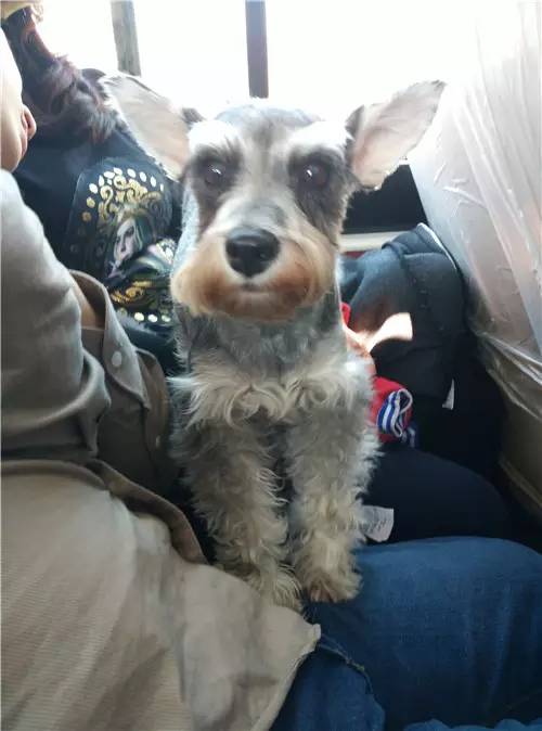 回顾欧帝亿和你相遇春の水长城