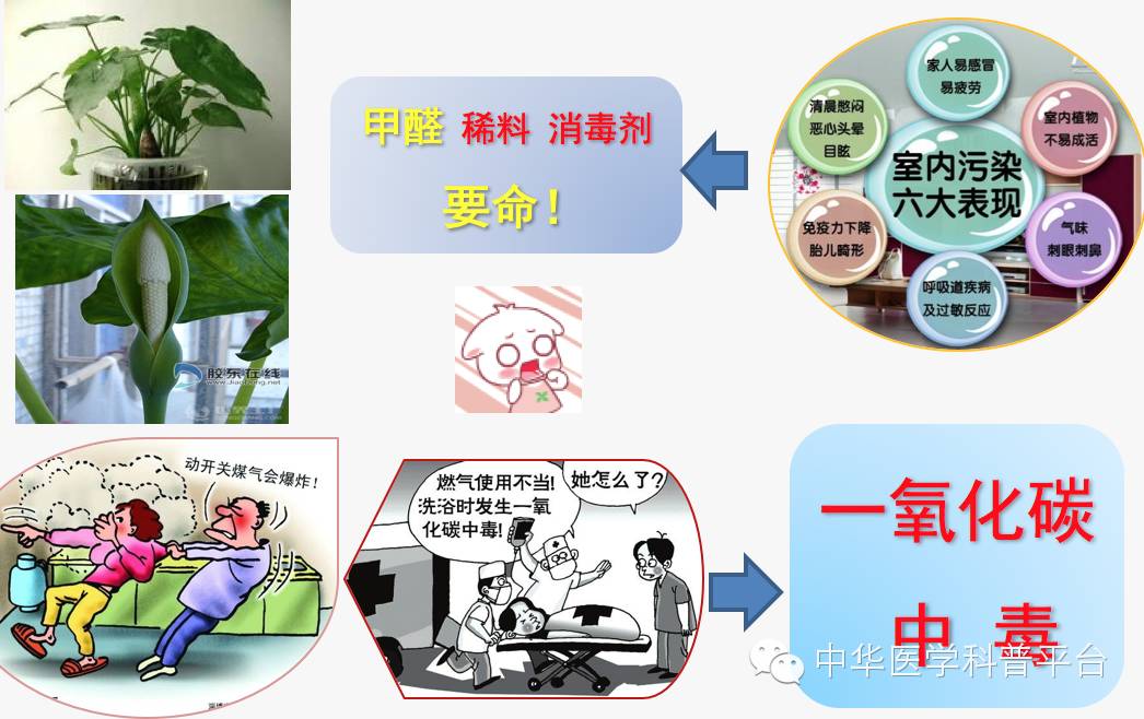 生活中哪些容易中毒,生活中各种食物中毒的表现