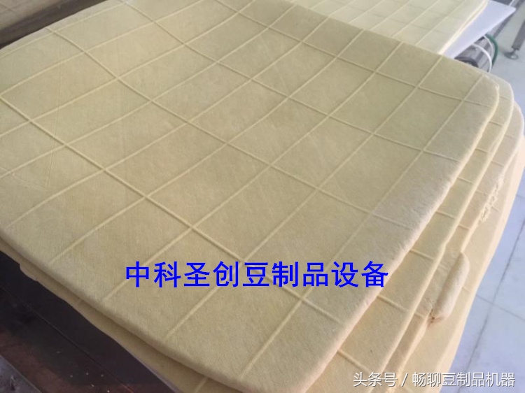 全自动干豆腐机正确使用方法,豆腐干机功能