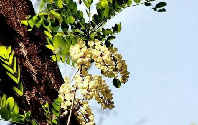 与上司说话不紧张的技巧,和领导说话紧张怎么克服