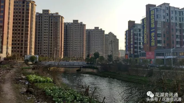 独家私藏花湖风光：醉美花湖的挑战与机遇