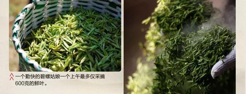 世界上最顶级绿茶,上等极品好茶碧螺春