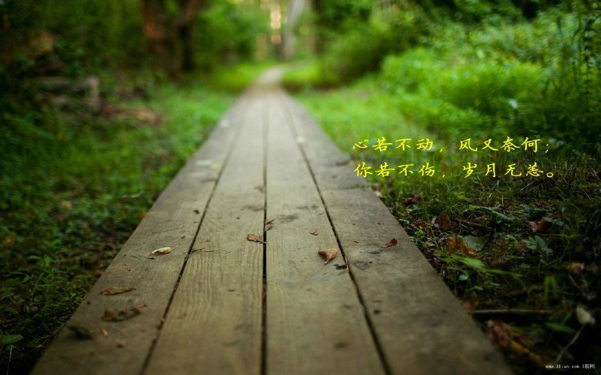 回味当年的纯爱小说，最美莫过于我爱你，你也爱我