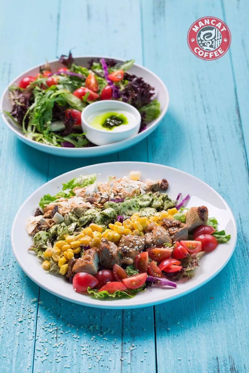 漫猫咖啡:小门店微投资,为你量身打造的偶像级猫星咖啡馆