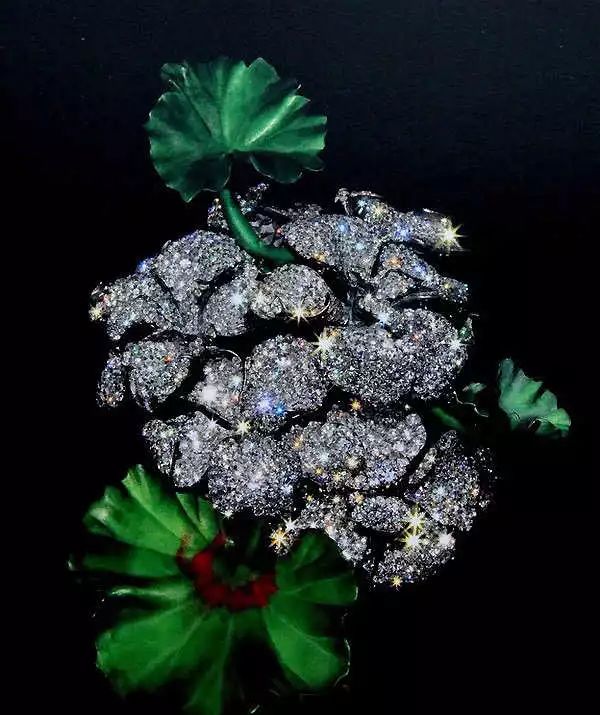 看完这5类珠宝设计，抛弃「猪精」，做维纳斯女孩吧