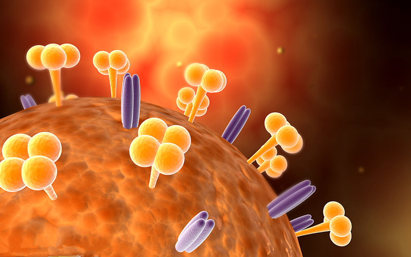 流感自我防御知识,流感有什么药可以预防
