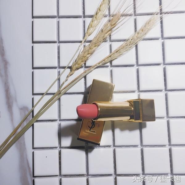 收集了很多好久才收集到的虫子,ysl推荐最值得入手款