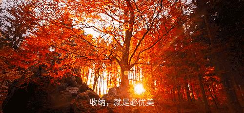 收纳控必备东西,收纳控必备10件物品