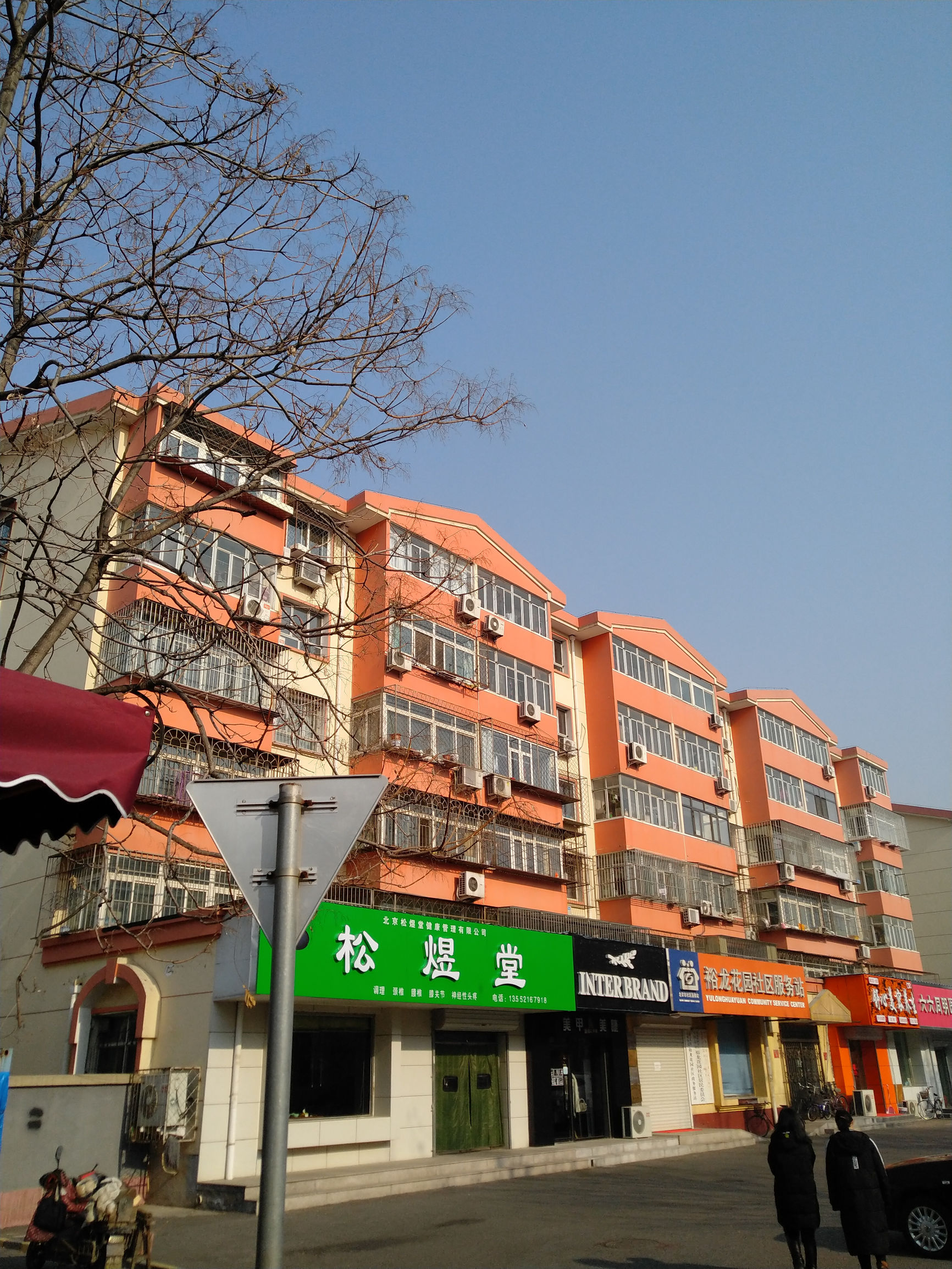 坚果pro2s为什么不建议买,坚果pro2处理器