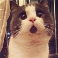 黄牛骗术大揭秘,黄牛抢火车票真的会被骗吗