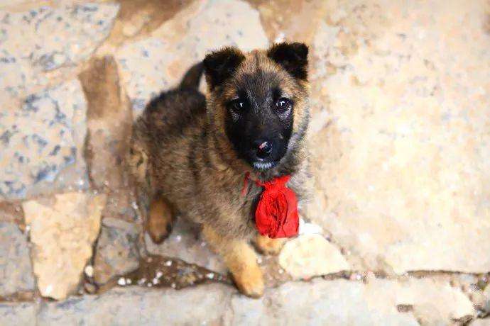 太行山悬崖古洞图片,鹿泉太行山的千年古寺