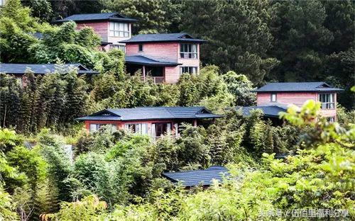 福州最便宜性价比最高的温泉,福州真正的温泉在哪里