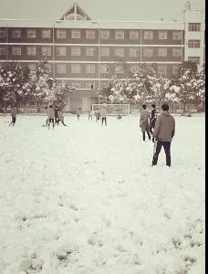 为了蚌埠足球，少年球员们也是拼了，雪地里照常训练｜很鼓舞人