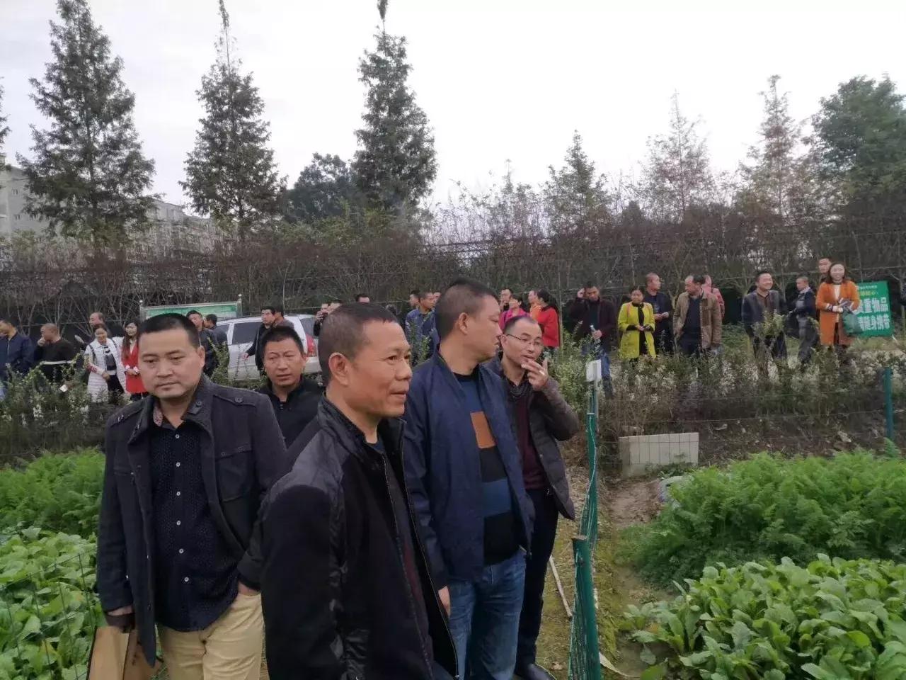 地还是那些地,人还是原来那些人,开心田园帮助农民致富大转变!