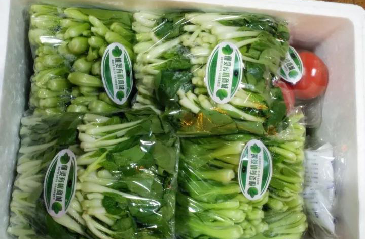 肥料行业套路大揭秘,肥料市场的前景