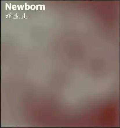 幼儿视力用视力表检查准确步骤,幼儿园孩子视力检测表准确吗