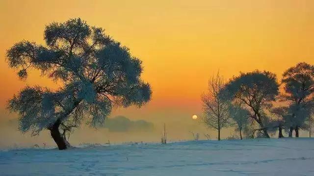 春节去哪里玩最热,春节去哪儿度假最暖和