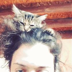 网上买的猫靠不靠谱,买猫最好到宠物店买还是到网上买