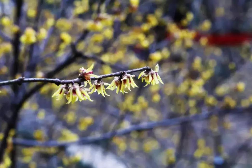 去看看鲁迅笔下的绍兴,鲁迅江南水乡绍兴