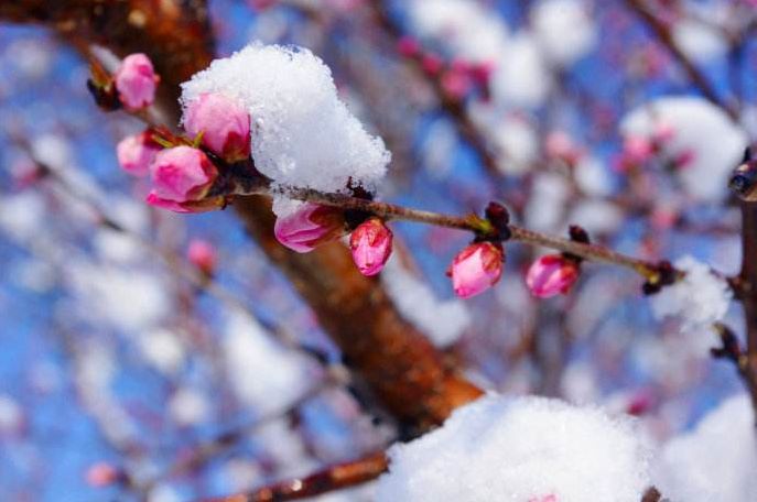 诗词喝火令词牌,诗词喝火令