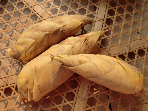 又是一年中最好的进补时节,又是一年进补季你是进补还是添堵