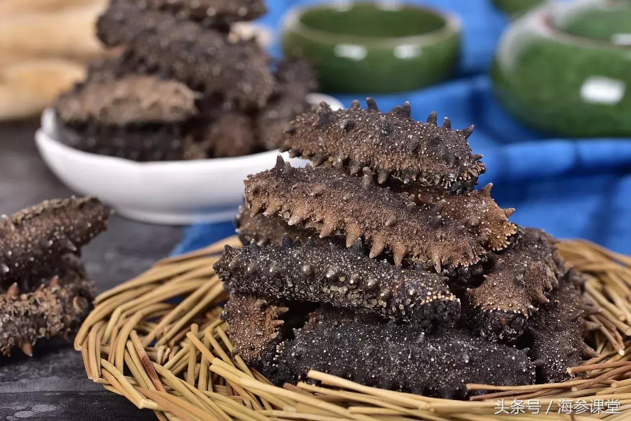 海参营养和鸡蛋营养一样吗,海参是干的有营养还是鲜的有营养