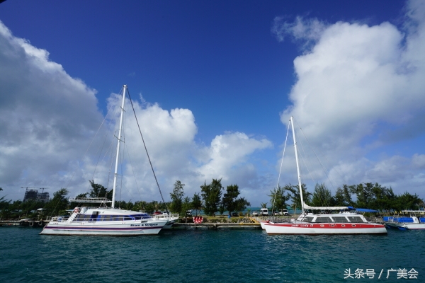鑷┚娓稿厤绛惧矝濉炵彮,涓浗鎶ょ収濉炵彮鍏嶇