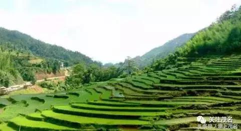 高州各镇历史来历,高州市有多少个镇街