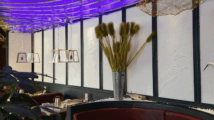 弘阳广场济南老板恋上鱼,济南老板恋上鱼价格