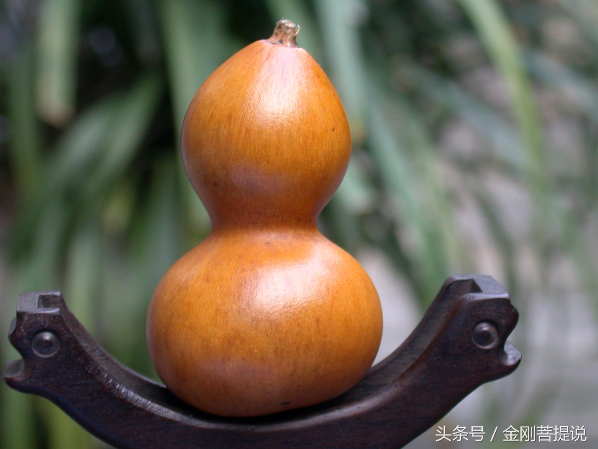 极品文玩葫芦,怎么选一把好的文玩葫芦