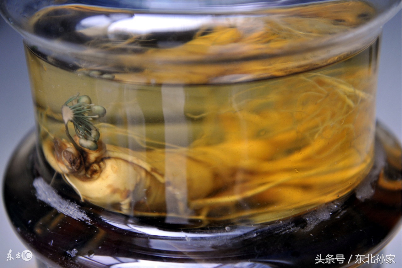 东北三宝鹿茸人参,东北三宝鹿茸的功效