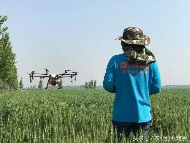 大深度,农服领域创业