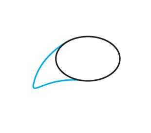 儿童简笔鲸鱼画,儿童鲸鱼简笔画步骤