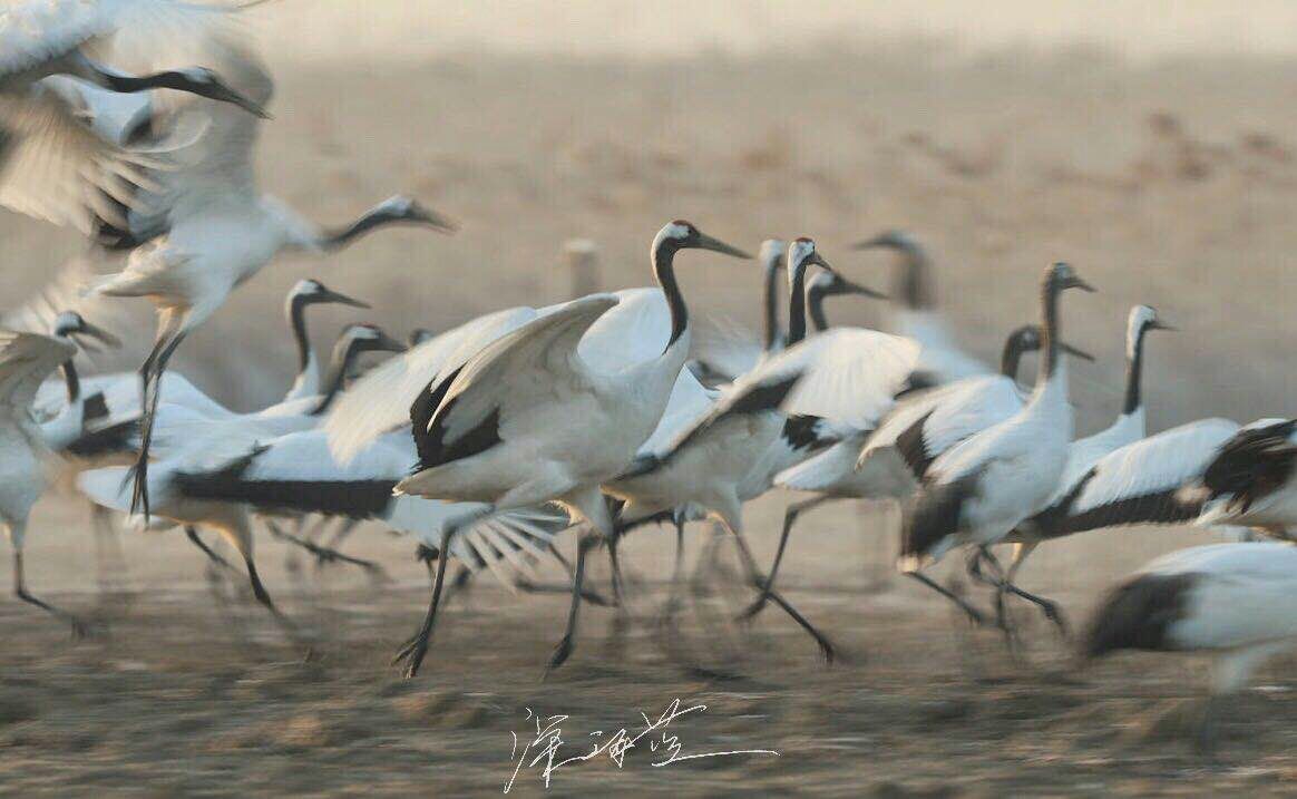 ipad绘画照片简单线稿,ipad绘画人像教程