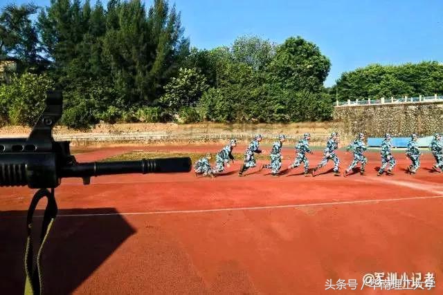 军训过程和军训心得,军训的成长仪式与感悟