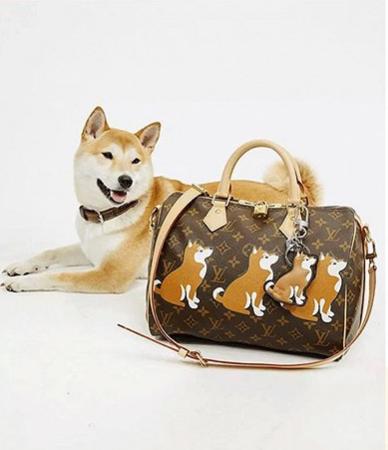 只有更丑没有最丑，新一轮的大牌狗年限定来了！画风依然辣眼睛