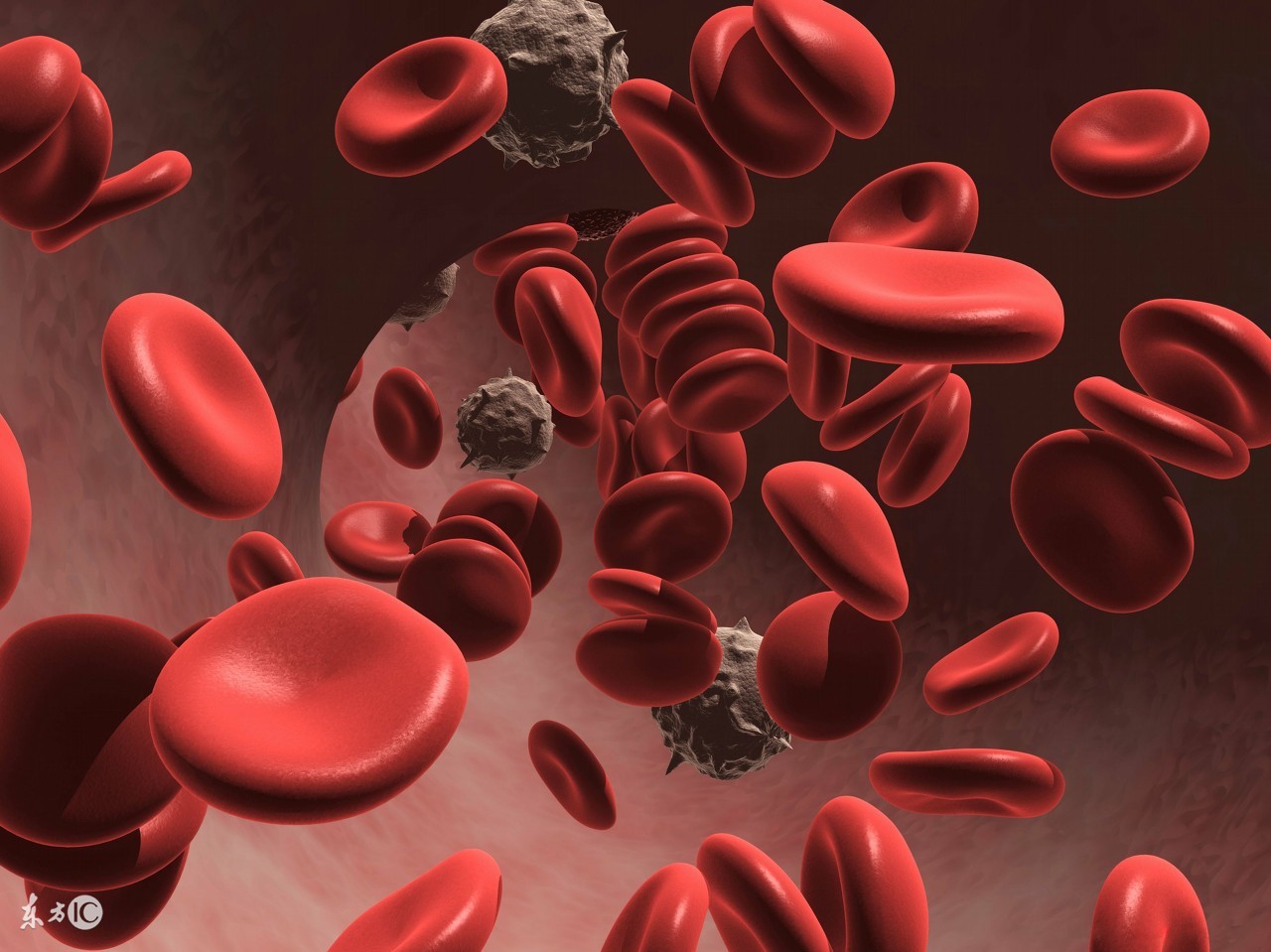 空腹血糖6.9餐后血糖正常怎么调节,血糖空腹7.9饮食注意什么