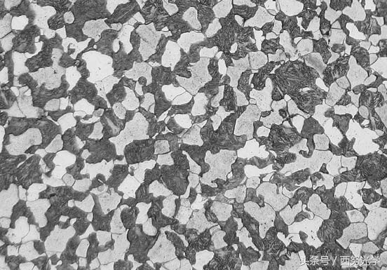 江苏常用奥林巴斯金相显微镜,金相光学显微镜解决方案