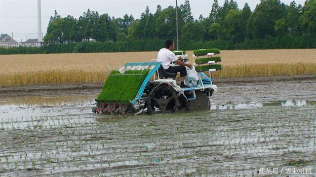 帮农民致富,帮农民赚钱