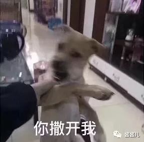 肌底精华液测评红黑榜,肌底液精华液分享推荐