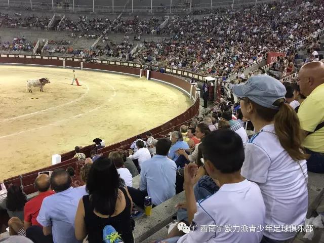 皇马足球训练营报名,皇马青训营怎么报名