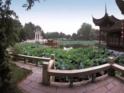 上海100个公园图片,上海有哪些免费的国家级公园