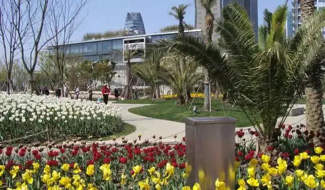 上海星级公园名单火热出炉,上海有什么5a级公园