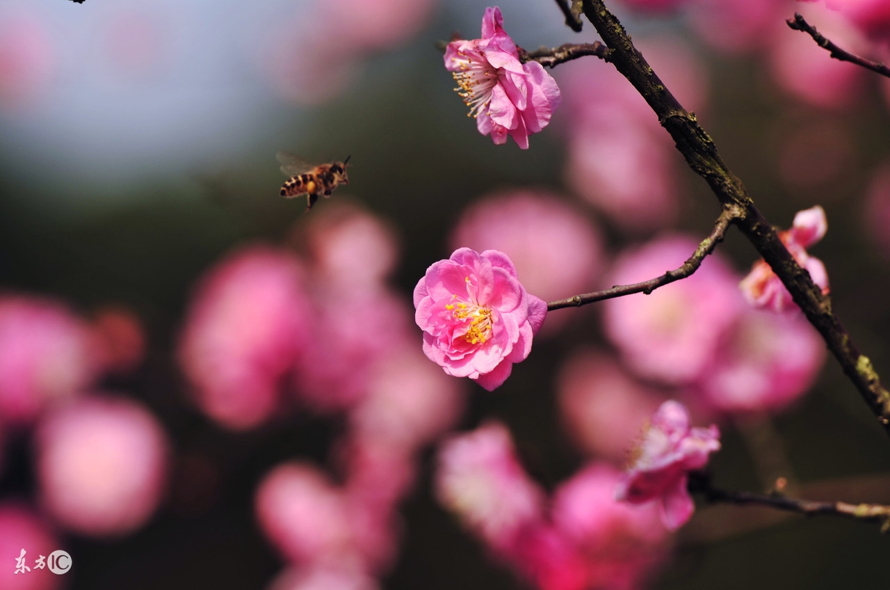 感觉给宝宝起名字好难听怎么办呢,1000个好听女孩名字乳名