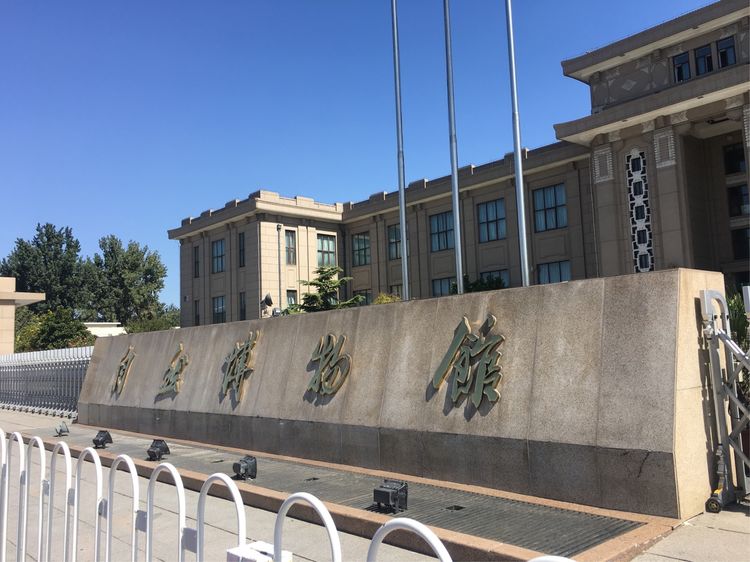 和小屁孩们一起出去玩的视频,和小屁孩玩的一天